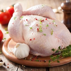 Gallina