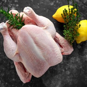 Pollo blanco